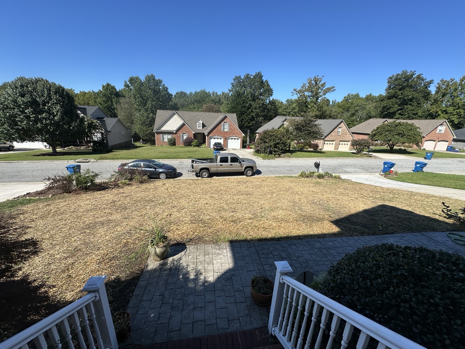 Finished lawn area with straw spread